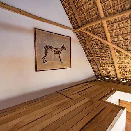 Casa Torito Mermejita Mazunte Exterior photo